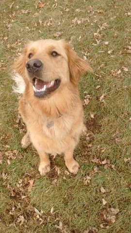 I Brushed Twice This Morning!